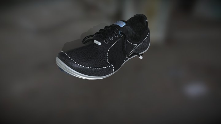 Shoe Goodin 3D Model