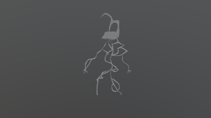 Bacteria 3D Model