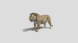 Minecraft Tiger - 3D model by isaac0203 [bb62bf2] - Sketchfab