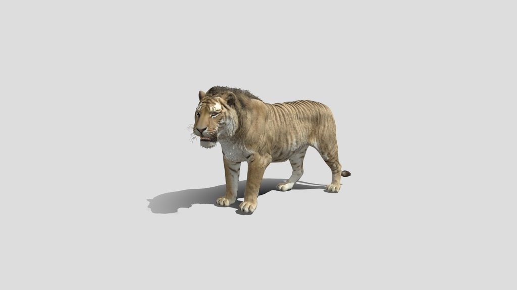 Old Tiger 3d model