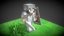 Loading 3D Model