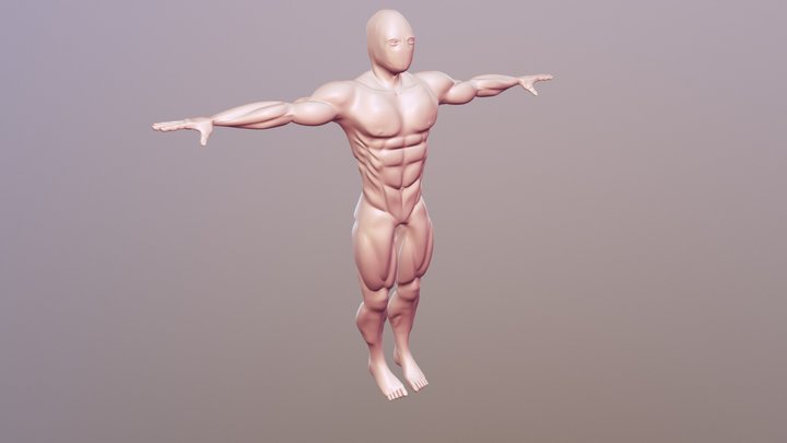 Human male 3D Model
