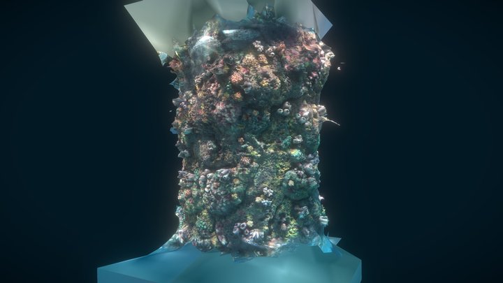 Coral tube cylindrical aquarium