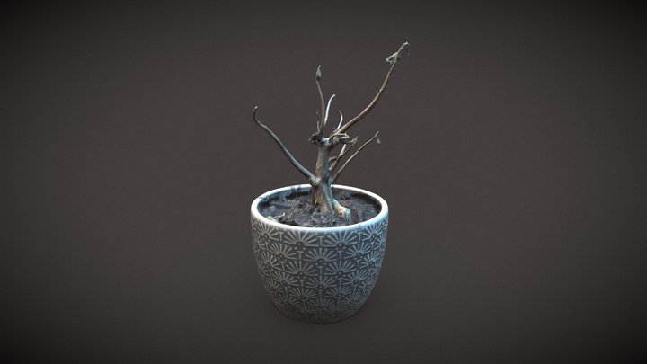 SCAN_TEST_Model_16 3D Model