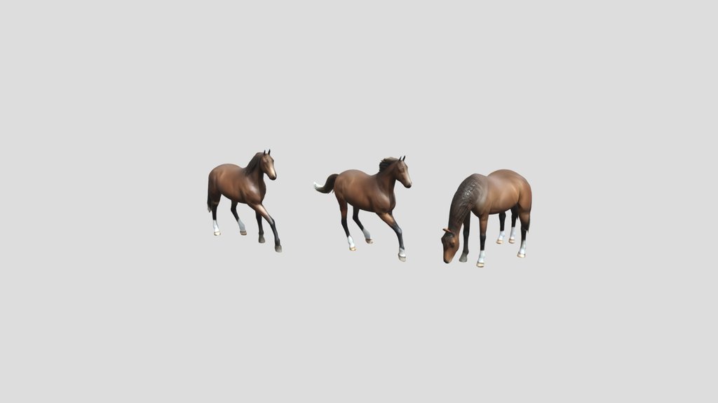 Three brown horses in different poses