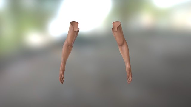 Bare Arms V2.0 3D Model