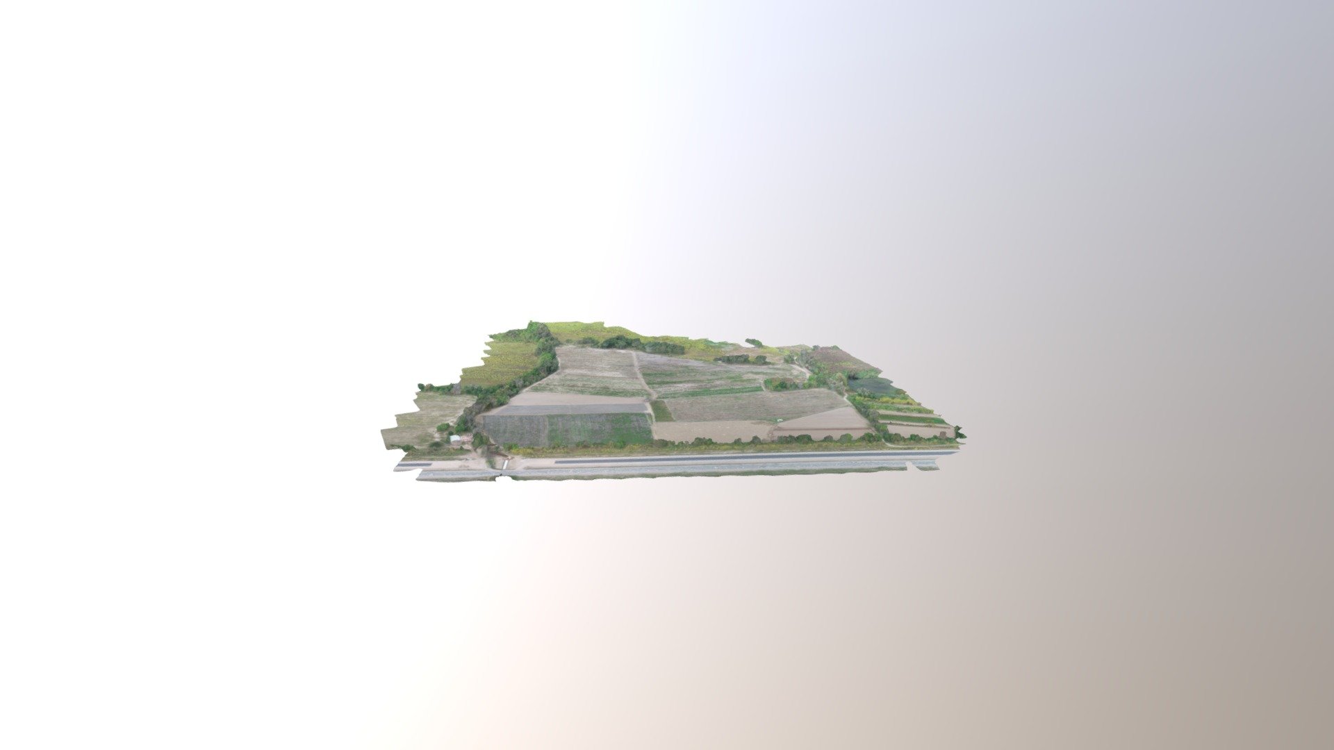 PS El Pongo Simplified 3d Mesh