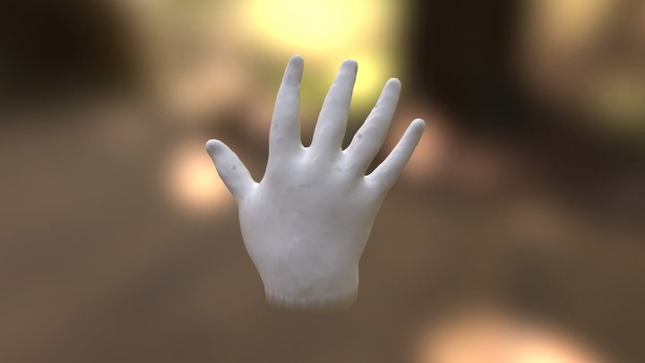 Hand Model (Co/Labs Player Controller) 3D Model