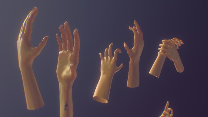 (My) Hand Study - Poses 3D Model