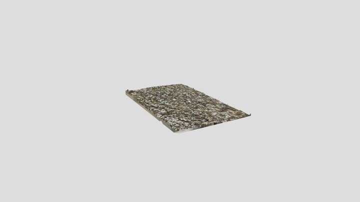 Ground Patch 1 3D Model