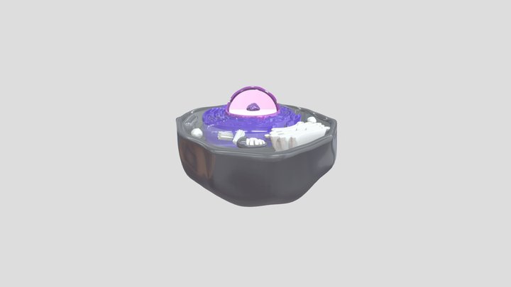 animal_cell_-_downloadable 3D Model