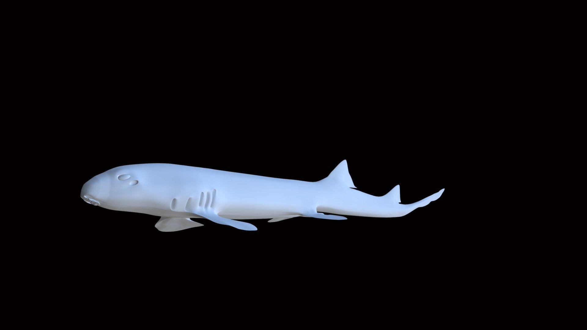 Model 114 - Epaulette Shark - Mesh only - Download Free 3D model by ...