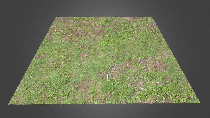 Grass Ground I 3D Model