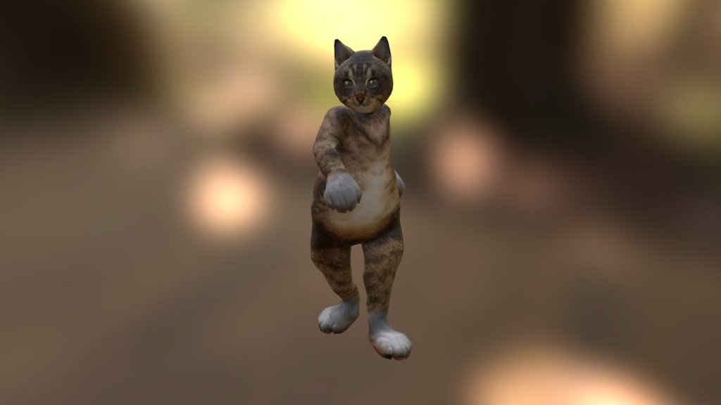 Cat Suit