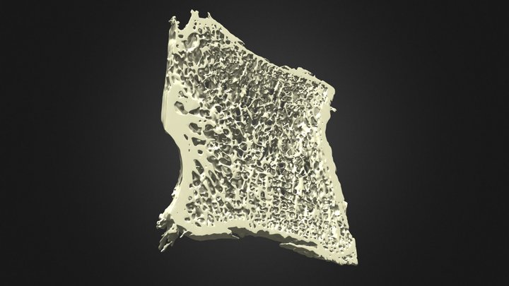 58 - F32 3D Model