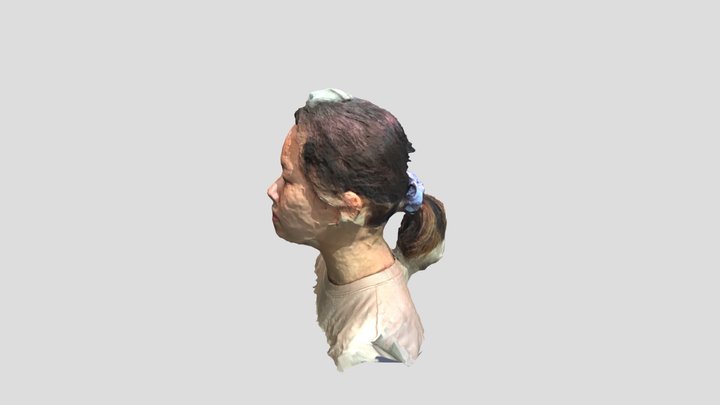 3D Scan Head 3D Model