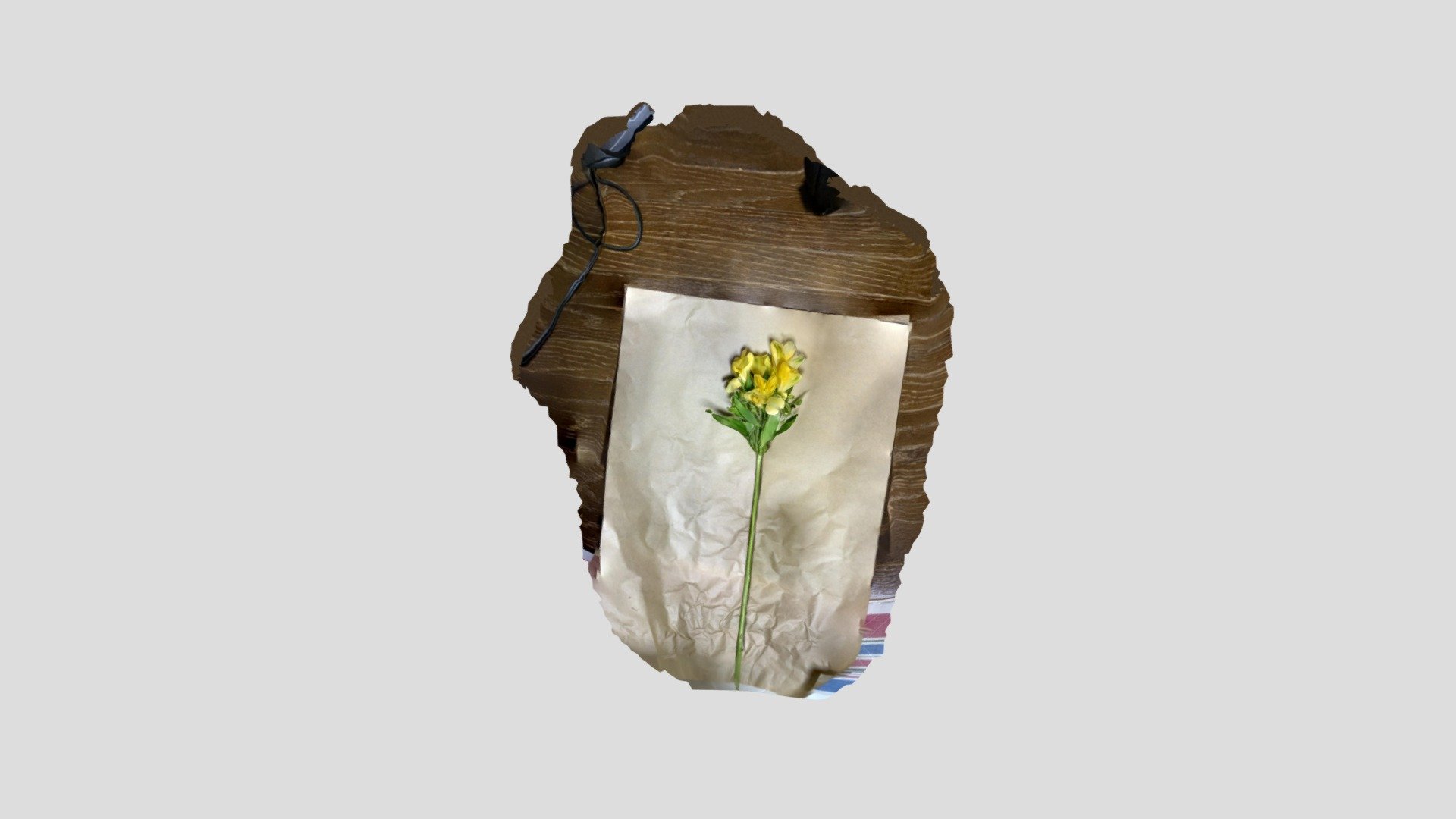 test5