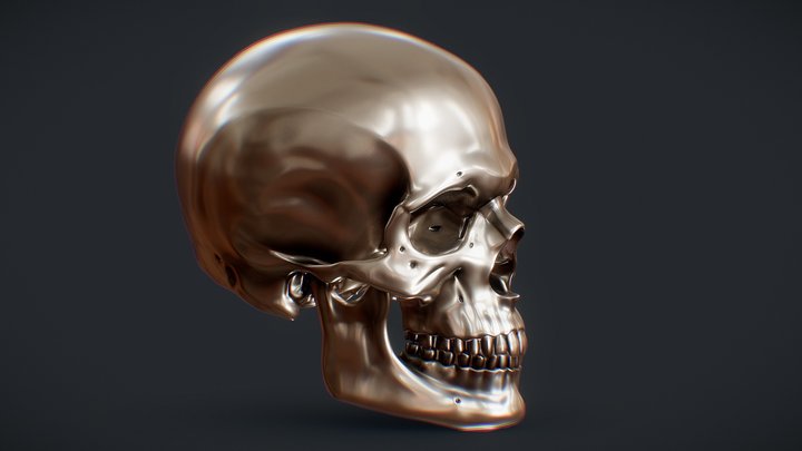 Perfect Shaped Skull 3D Model