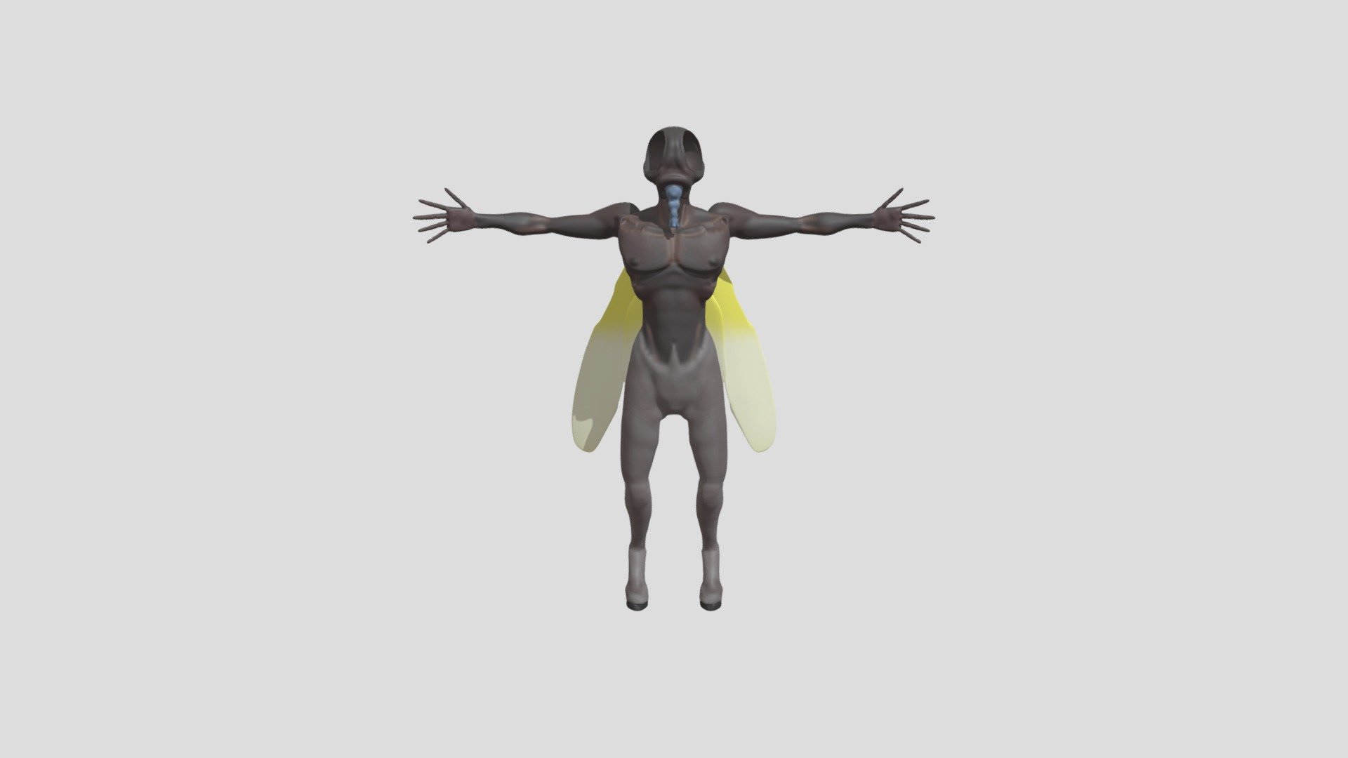 Hombre_mosca_finalizado - 3D model by cristopher.rodriguez1 ...