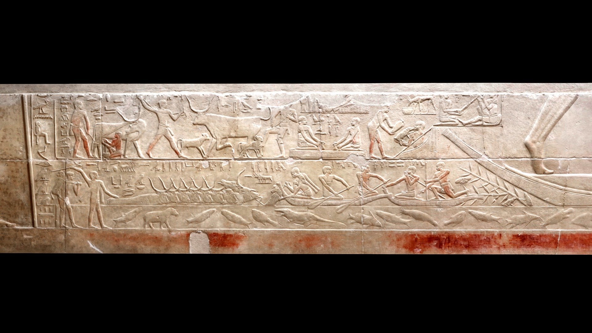 Cattle Crossing, Mastaba of Kagemni, Saqqara