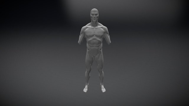 02 male anatomy study 3D Model