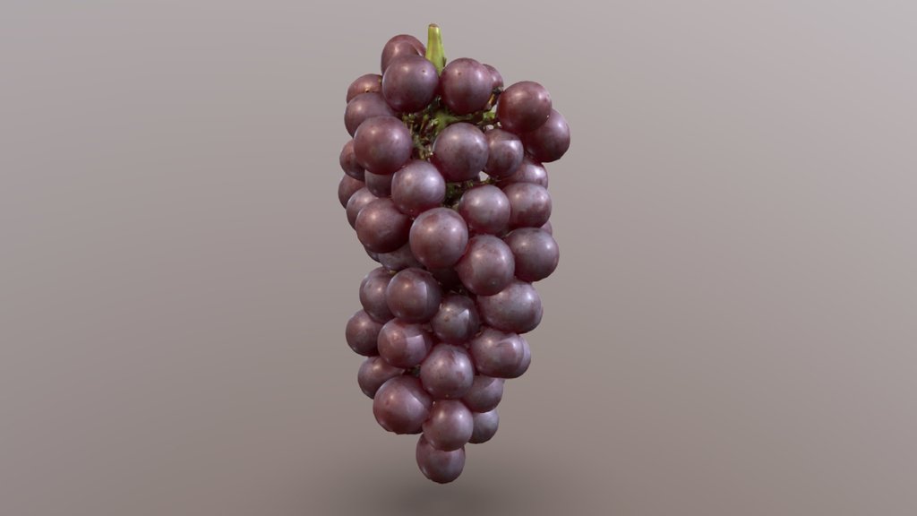 Grape "King Delaware" / 葡萄（キングデラウェア）