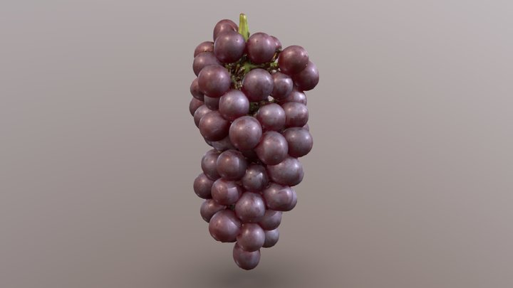 Grape "King Delaware" / 葡萄（キングデラウェア） 3D Model
