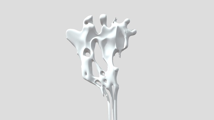 Study Model - Organic Form 3D Model