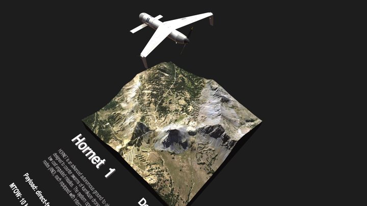 Hornet_1_05 3D Model