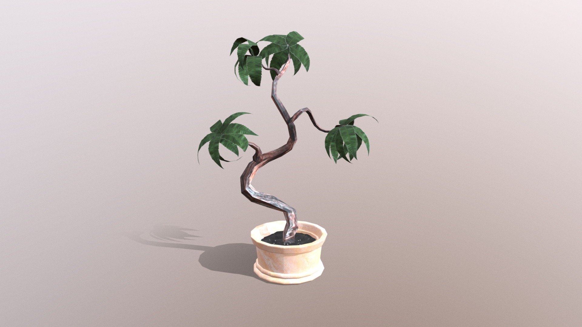 CGT 116 WK8 Plant