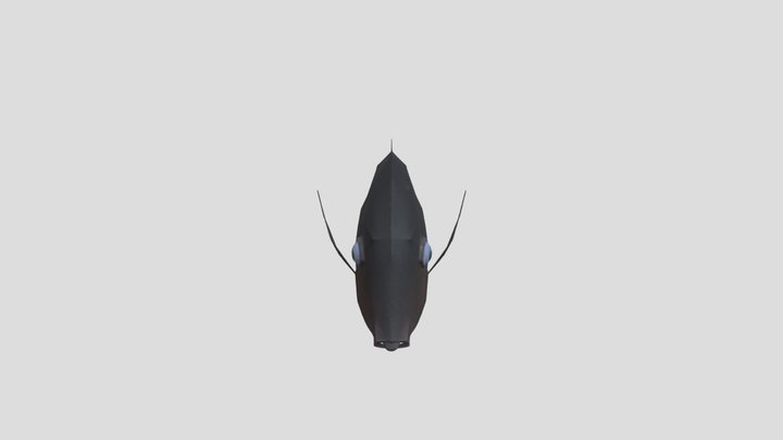 dusky tang