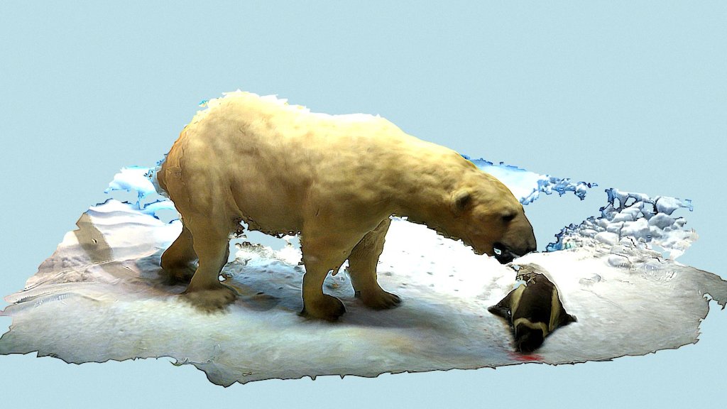 Polar bear at AMNH