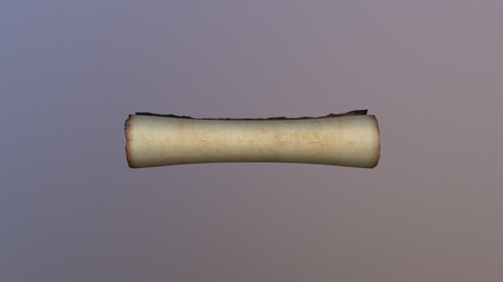 Scroll - 3D model by Priska [5061192] - Sketchfab