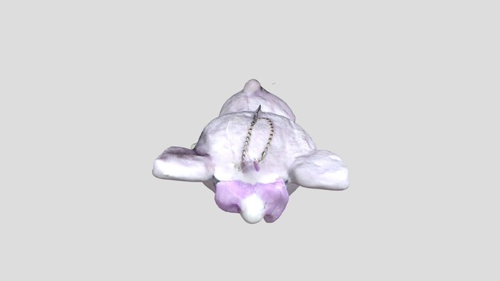 A 3D Model