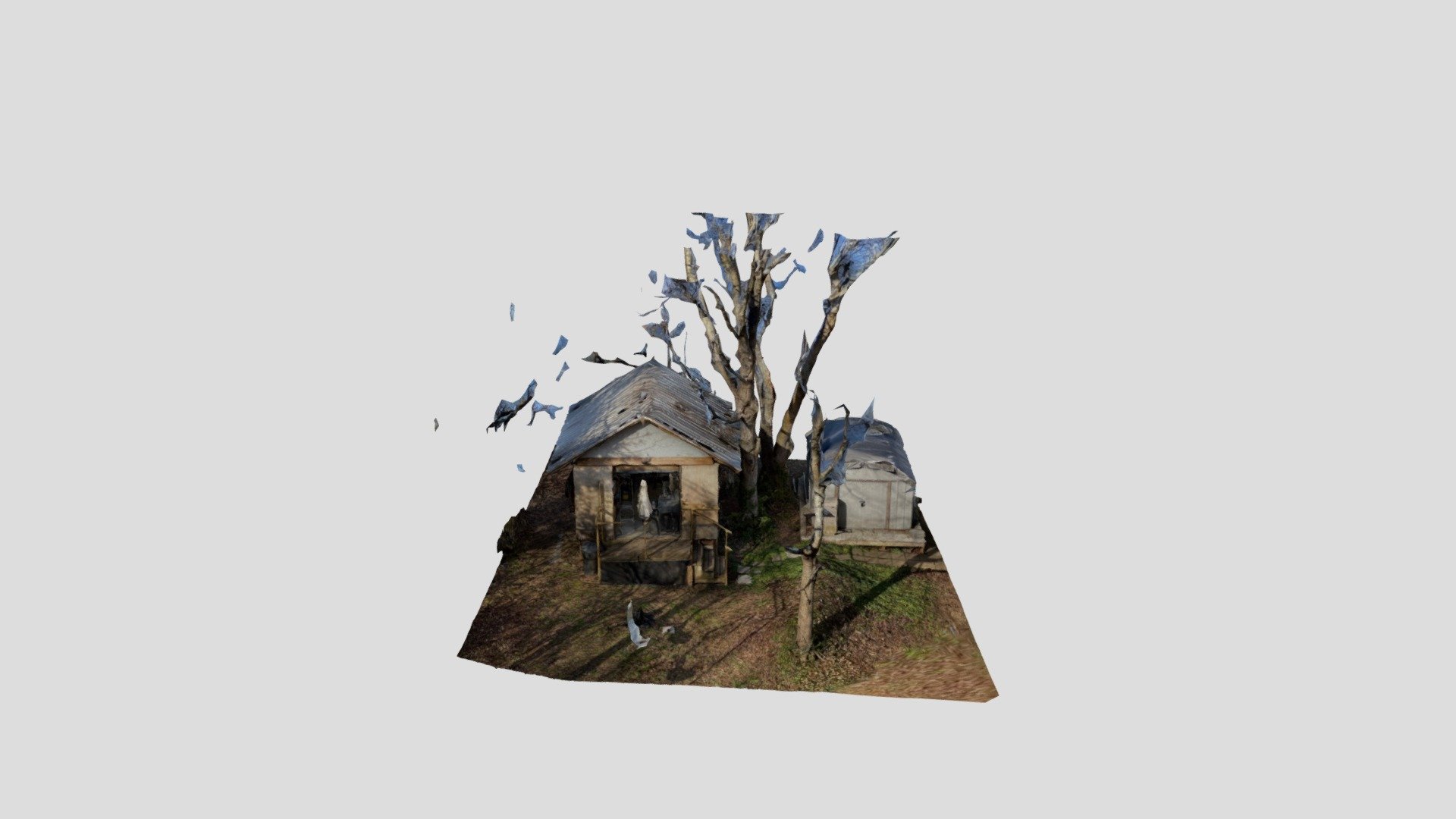 Art Shed