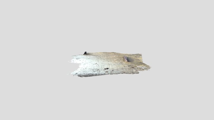 Loss_Marshes_peat-wood 3D Model