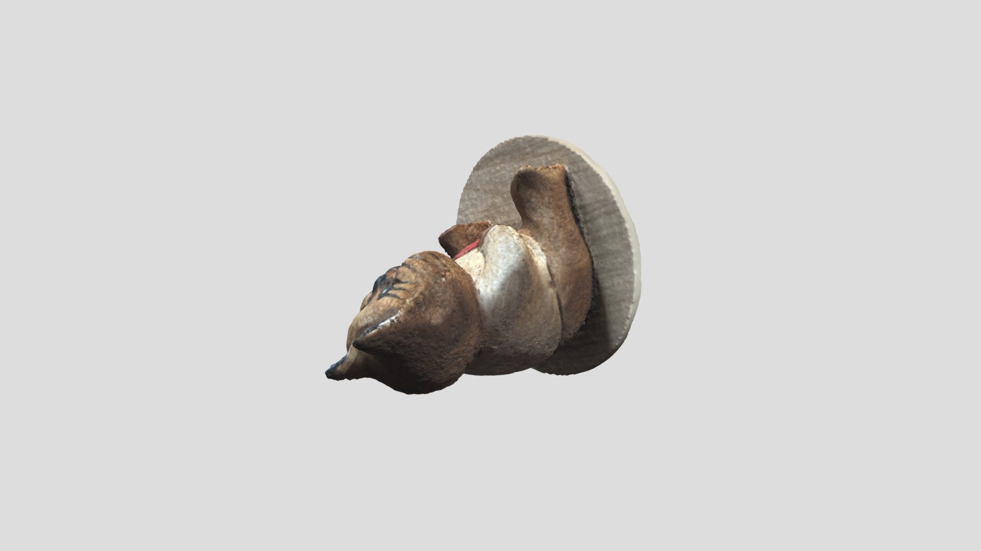 Wooden Cat