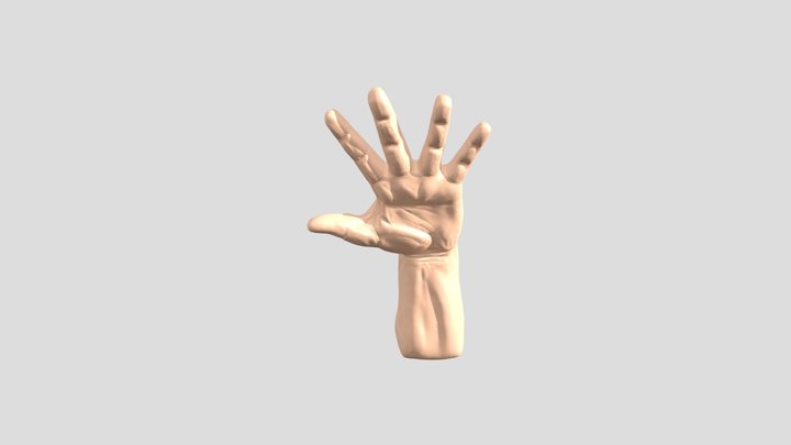 Mano/Hand 3D Model
