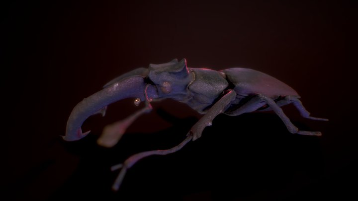 Deer Beetle Low Poly [rebaked] – Modelo 3D gratuito STL