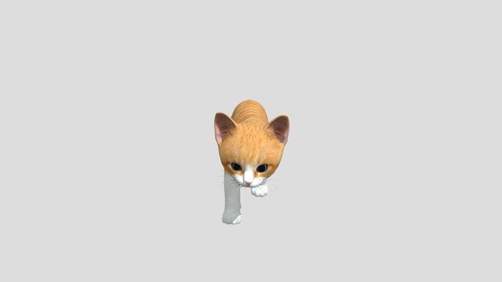 GATO 3D Model