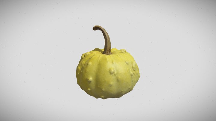 small decorative pumpkin 3D Model