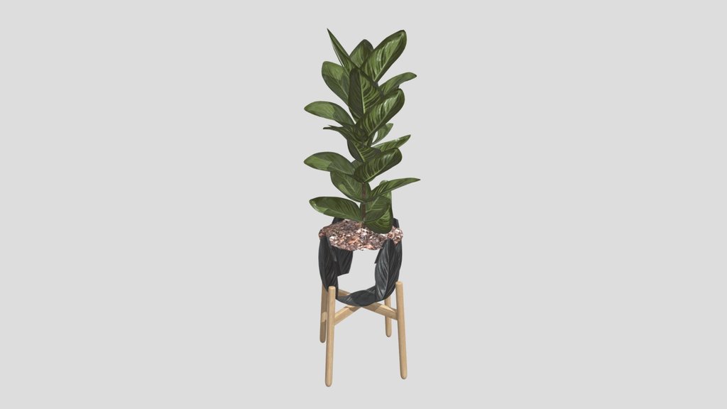 Plant