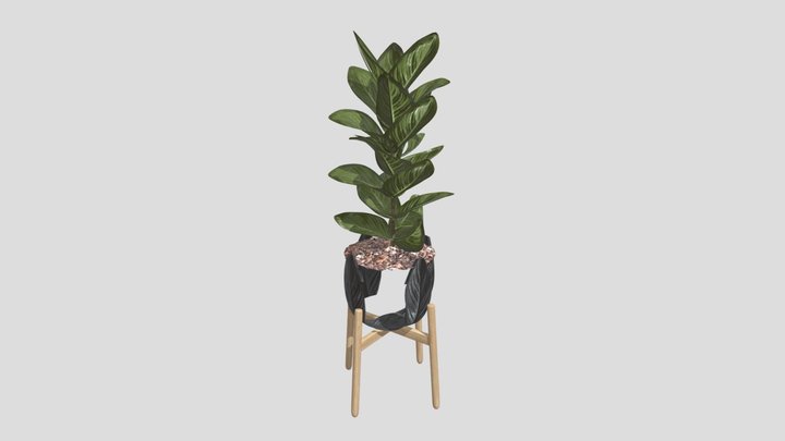 Plant – Modello 3D gratuito STL