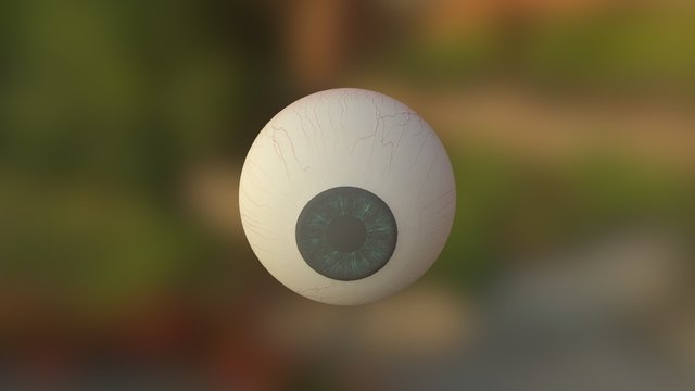 Eyeball 3D Model