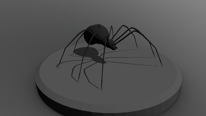 Spider 3D Model
