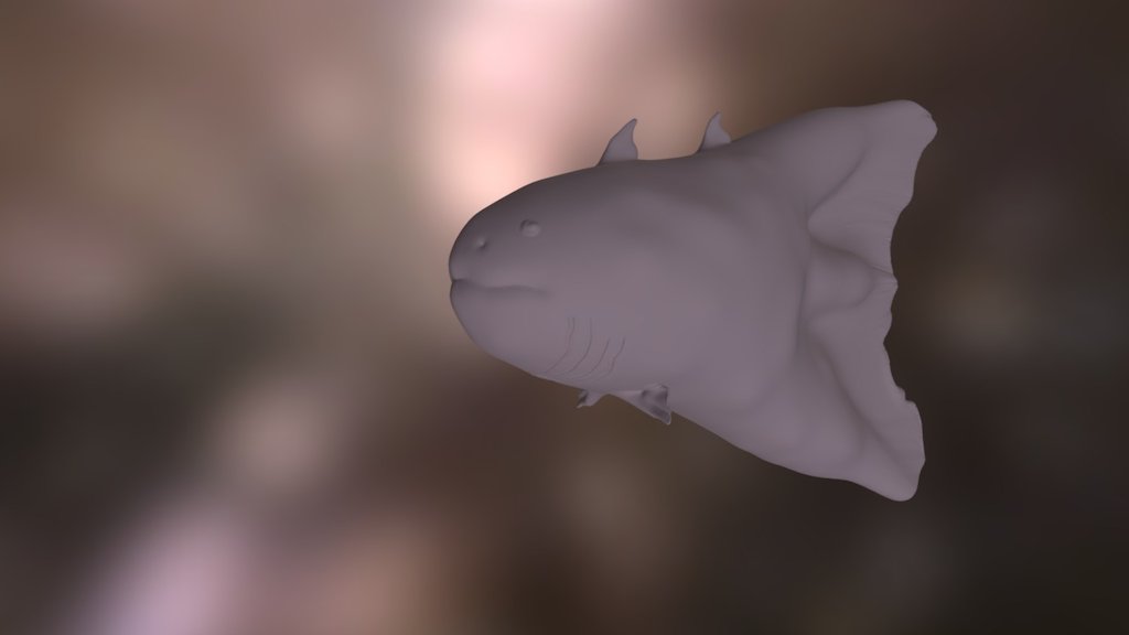 Redeyedsalmonsketch