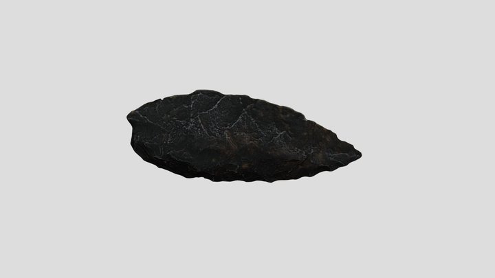 Lithic 3D Model