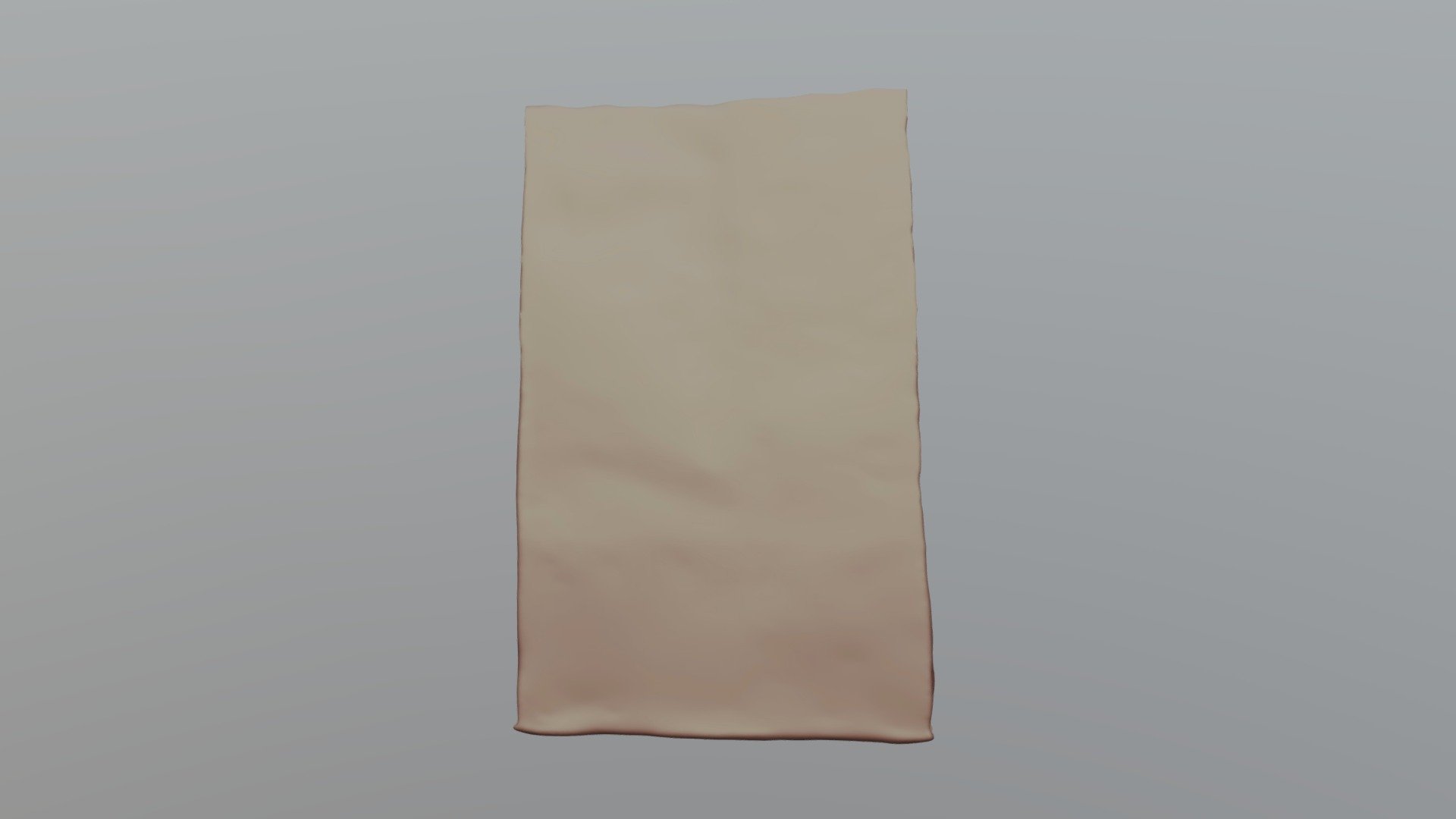 Fast Food Bag