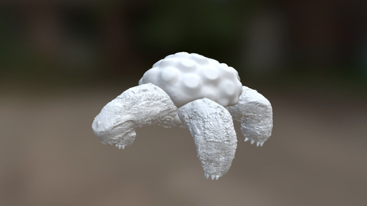 Turtle creature 3D Model