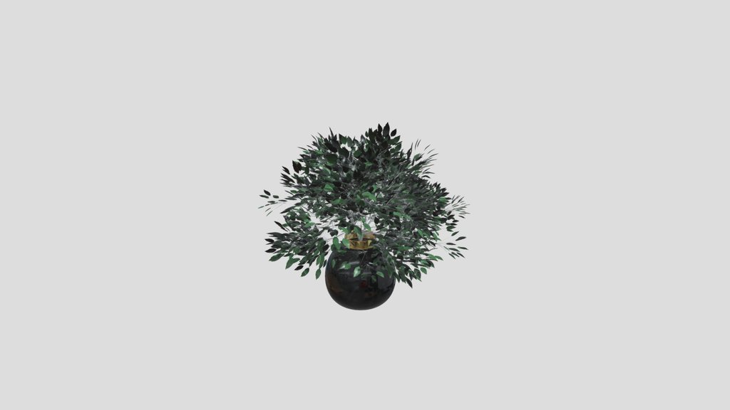 Plant Vase Serie 01